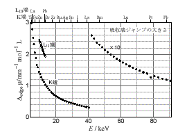 z[Wv̑傫