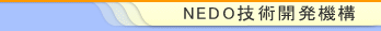 NEDO �����Z�p�J���@�\