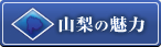 山梨の魅力