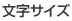 文字サイズ