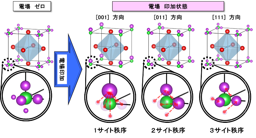 6_site_model