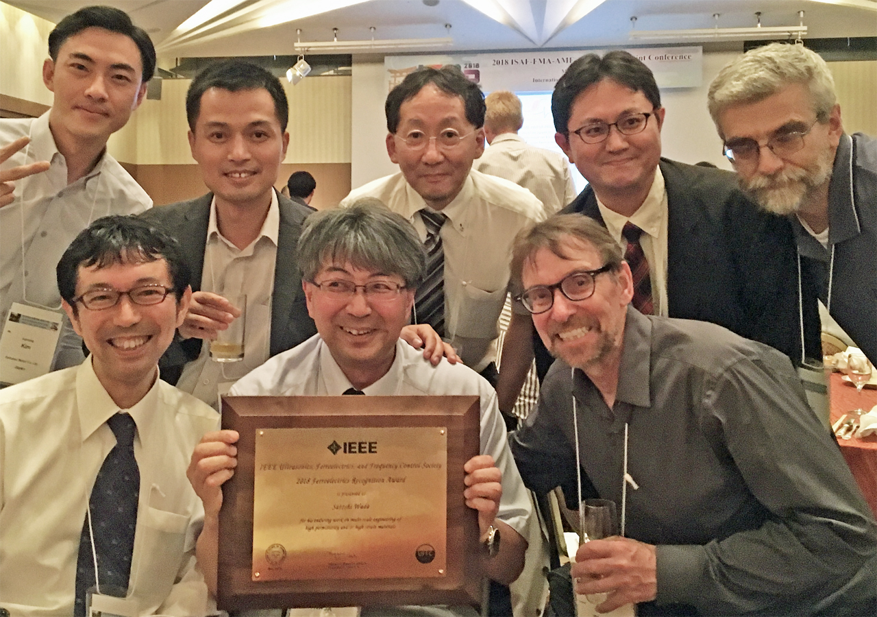 Ferroelectrics Recognition Award 2018