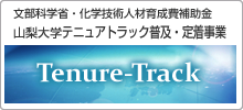 テニュアトラック普及・定着事業