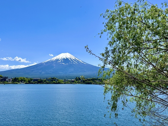 画像を用意中です