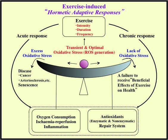 Hormesis