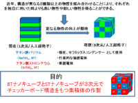 nozawa_pdf