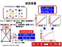 shimamura_pdf