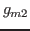 $g_{m2}$